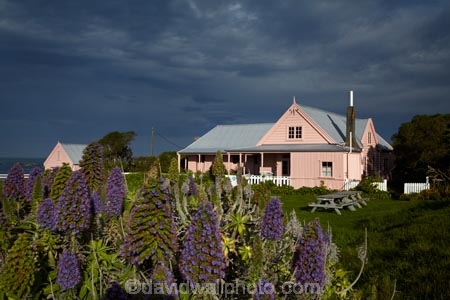 approaching-storm;approaching-storms;black-cloud;black-clouds;building;buildings;cloud;clouds;cloudy;dark-cloud;dark-clouds;fyfe-house;fyffe-house;fyffe-house-historic-area;gray-cloud;gray-clouds;grey-cloud;grey-clouds;heritage;historic;historic-building;historic-buildings;historical;historical-building;historical-buildings;history;kaikoura;Kaikoura-Coast;marlborough;new-zealand;NZ;old;rain-cloud;rain-clouds;rain-storm;rain-storms;S.I.;South-Is;south-island;Sth-Is;storm;storm-cloud;storm-clouds;storms;thunder-storm;thunder-storms;thunderstorm;thunderstorms;tradition;traditional;weather;whalers-house;whalers-house