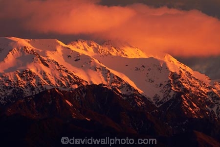 alpenglo;alpenglow;alpine;alpinglo;alpinglow;break-of-day;cloud;clouds;color;colors;colour;colours;dawn;dawning;daybreak;first-light;Kaikoura;Kaikoura-Coast;Kaikoura-Range;Kaikoura-Ranges;Marlborough;morning;mountain;mountainous;mountains;mt;New-Zealand;NZ;orange;S.I.;Seaward-Kaikoura-Range;Seaward-Kaikoura-Ranges;snow;snow-capped;snowy;South-Is;South-Island;Sth-Is;sunrise;sunrises;sunup;twilight