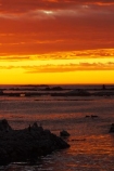 Kaikoura & North Canterbury