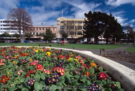 The-Square;square;Palmerston-North;palmerston;flower;flowers;flower-garden;manawatu;north-island;city;cities