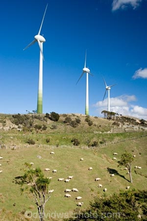 agricultural;agriculture;alternative-energies;alternative-energy;cabbage-trees;cabbage-ttree;country;countryside;crop;crops;electrical;electricity;electricity-generation;electricity-generators;Enercon-E40;energy;environment;environmental;farm;farming;farmland;farms;field;fields;generation;generator;generators;Genesis-Energy;Hau-Nui-Wind-Farm;horticulture;industrial;industry;Martinborough;meadow;meadows;N.I.;N.Z.;New-Zealand;NI;North-Island;NZ;paddock;paddocks;pasture;pastures;power-generation;power-generators;propeller;propellers;renewable-energies;renewable-energy;rural;sheep;spin;spining;sustainable-energies;sustainable-energy;turn;turning;Wairarapa;wind;wind-farm;wind-farms;wind-generator;wind-generators;wind-power;wind-power-plant;wind-power-plants;wind-turbine;wind-turbines;wind_farm;wind_farms;windfarm;windfarms;windmill;windmills;windturbine;windturbines;windy