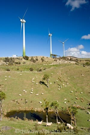 agricultural;agriculture;alternative-energies;alternative-energy;cabbage-trees;cabbage-ttree;country;countryside;crop;crops;electrical;electricity;electricity-generation;electricity-generators;Enercon-E40;energy;environment;environmental;farm;farming;farmland;farms;field;fields;generation;generator;generators;Genesis-Energy;Hau-Nui-Wind-Farm;horticulture;industrial;industry;Martinborough;meadow;meadows;N.I.;N.Z.;New-Zealand;NI;North-Island;NZ;paddock;paddocks;pasture;pastures;power-generation;power-generators;propeller;propellers;renewable-energies;renewable-energy;rural;sheep;spin;spining;sustainable-energies;sustainable-energy;turn;turning;Wairarapa;wind;wind-farm;wind-farms;wind-generator;wind-generators;wind-power;wind-power-plant;wind-power-plants;wind-turbine;wind-turbines;wind_farm;wind_farms;windfarm;windfarms;windmill;windmills;windturbine;windturbines;windy