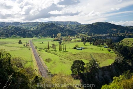 agricultural;agriculture;country;countryside;farm;farming;farmland;farms;field;fields;main-trunk-line;meadow;meadows;N.I.;N.Z.;New-Zealand;NI;North-Island;NZ;paddock;paddocks;pasture;pastures;railway-line;railway-lines;railway-track;railway-tracks;Rangitikei;rural