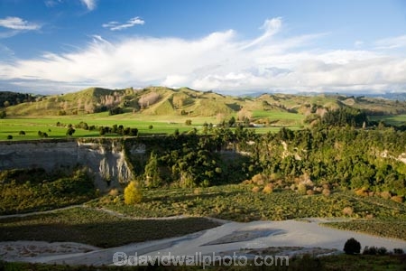agricultural;agriculture;autuminal;autumn;autumn-colour;autumn-colours;autumnal;color;colors;colour;colours;country;countryside;deciduous;fall;farm;farming;farmland;farms;field;fields;Kawhatau-River;Kawhatau-Valley;leaf;leaves;meadow;meadows;N.I.;N.Z.;New-Zealand;NI;North-Island;NZ;paddock;paddocks;pasture;pastures;Rangitikei;rural;season;seasonal;seasons;tree;trees;valley;valleys