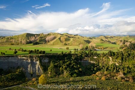 agricultural;agriculture;autuminal;autumn;autumn-colour;autumn-colours;autumnal;color;colors;colour;colours;country;countryside;deciduous;fall;farm;farming;farmland;farms;field;fields;Kawhatau-River;Kawhatau-Valley;leaf;leaves;meadow;meadows;N.I.;N.Z.;New-Zealand;NI;North-Island;NZ;paddock;paddocks;pasture;pastures;Rangitikei;rural;season;seasonal;seasons;tree;trees;valley;valleys
