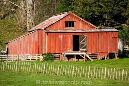 agricultural;agriculture;country;countryside;farm;Farm-Building;Farm-Buildings;Farm-Shed;Farm-Sheds;farming;farmland;farms;fence;fenceline;fencelines;fences;field;fields;Kawhatau-Valley;meadow;meadows;N.I.;N.Z.;New-Zealand;NI;North-Island;NZ;paddock;paddocks;pasture;pastures;Rangitikei;rural;Shearing-Shed;Shearing-Sheds;Sheep-Shed;Sheep-Sheds;Wool-Shed;Wool-Sheds