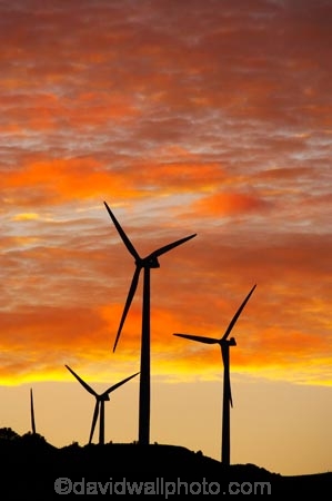 alternative-energies;alternative-energy;break-of-day;dawn;dawning;daybreak;electrical;electricity;electricity-generation;electricity-generators;energy;environment;environmental;first-light;generation;generator;generators;industrial;industry;Manawatu;Meridian-Energy;morning;N.I.;N.Z.;New-Zealand;NI;North-Is;North-Island;NZ;orange;power-generation;power-generators;propeller;propellers;renewable-energies;renewable-energy;Ruahine-Range;Ruahine-Ranges;spin;spining;sunrise;sunrises;sunup;sustainable-energies;sustainable-energy;Te-Apiti-Wind-Farm;turn;turning;twilight;wind;wind-farm;wind-farms;wind-generator;wind-generators;wind-power;wind-power-plant;wind-power-plants;wind-turbine;wind-turbines;wind_farm;wind_farms;windfarm;windfarms;windmill;windmills;windturbine;windturbines;windy