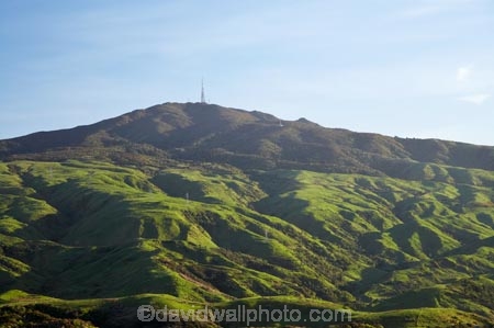 agricultural;agriculture;country;countryside;farm;farming;farmland;farms;field;fields;Manawatu;meadow;meadows;N.I.;N.Z.;New-Zealand;NI;North-Is;North-Island;NZ;paddock;paddocks;pasture;pastures;Ruahine-Range;Ruahine-Ranges;rural