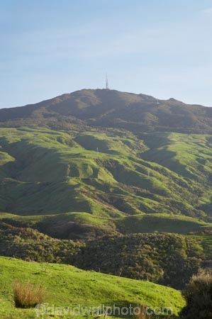 agricultural;agriculture;country;countryside;farm;farming;farmland;farms;field;fields;Manawatu;meadow;meadows;N.I.;N.Z.;New-Zealand;NI;North-Is;North-Island;NZ;paddock;paddocks;pasture;pastures;Ruahine-Range;Ruahine-Ranges;rural
