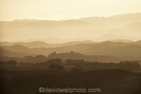 agricultural;agriculture;beige;break-of-day;brown;country;countryside;dawn;dawning;daybreak;Early-Light;farm;farming;farmland;farms;field;fields;first-light;hill;hills;island;Lower-North-Island;monochromatic;monochrome;morning;N.I.;N.Z.;new;new-zealand;NI;north;North-Is;north-is.;north-island;NZ;o8l0439;rural;sepia;sunup;tonal;tonality;tone;tones;wairarapa;Woodville;zealand