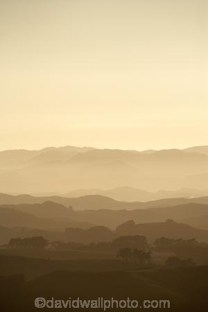 agricultural;agriculture;beige;break-of-day;brown;country;countryside;dawn;dawning;daybreak;Early-Light;farm;farming;farmland;farms;field;fields;first-light;hill;hills;island;Lower-North-Island;monochromatic;monochrome;morning;N.I.;N.Z.;new;new-zealand;NI;north;North-Is;north-is.;north-island;NZ;o8l0444;rural;sepia;sunup;tonal;tonality;tone;tones;wairarapa;Woodville;zealand