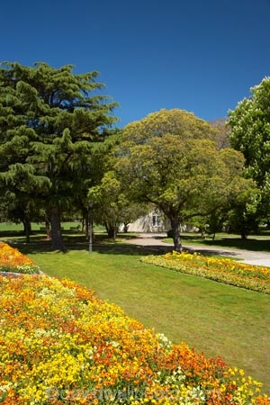 bloom;blooming;blooms;blossom;blossoming;blossoms;elizabeth;flower;flower-bed;flower-beds;flowers;Fresh;garden;gardens;grow;Growth;hosking;Hosking-Garden;island;Lower-North-Island;masterton;N.I.;N.Z.;new;new-zealand;NI;north;North-Is;north-is.;north-island;NZ;o8l0699;park;public-garden;public-gardens;queen;Queen-Elizabeth-II-Park;Queen-Elizabeth-II-Pk;Queen-Elizabeth-Park;Queen-Elizabeth-Pk;renew;season;seasonal;seasons;spring;springtime;the;The-Hosking-Garden;wairarapa;yellow;zealand