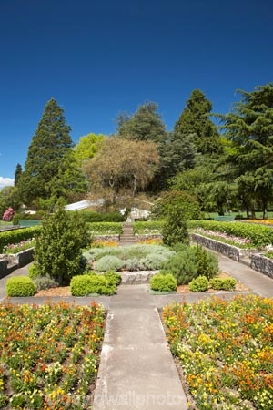 bloom;blooming;blooms;blossom;blossoming;blossoms;elizabeth;flower;flower-bed;flower-beds;flowers;Fresh;garden;gardens;grow;Growth;hosking;Hosking-Garden;island;Lower-North-Island;masterton;N.I.;N.Z.;new;new-zealand;NI;north;North-Is;north-is.;north-island;NZ;o8l0705;park;public-garden;public-gardens;queen;Queen-Elizabeth-II-Park;Queen-Elizabeth-II-Pk;Queen-Elizabeth-Park;Queen-Elizabeth-Pk;renew;season;seasonal;seasons;spring;springtime;the;The-Hosking-Garden;wairarapa;zealand