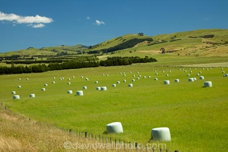 agricultural;agriculture;bale;bales;country;countryside;farm;farming;farmland;farms;field;fields;hay;hay-bale;hay-bales;hill;hills;Lower-North-Island;Martinborough;meadow;meadows;N.I.;N.Z.;New-Zealand;NI;North-Is;North-Island;NZ;paddock;paddocks;pasture;pastures;rural;Wairarapa