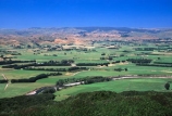 farm;rural;grass;agriculture;farming;farms;pasture;paddock;paddocks;field;fields;meadow;meadows;pastures;north-island;trees;tree;farmland;forest-forests;plain;plains;valley;valleys;woodville