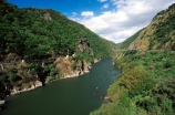 river;rivers;gorge;gorges;manawatu-river;manawatu-gorge;manawatu;north-island;bush;natural;railway;rail
