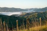 agricultural;agriculture;cloud;cloudy;country;countryside;early-morning;farm;farming;farmland;farms;fence;fence_line;fence_lines;fenceline;fencelines;fences;field;fields;fog;foggy;Hikawera;Hinakura;Martinborough;meadow;meadows;mist;misty;N.I.;N.Z.;New-Zealand;NI;North-Island;NZ;paddock;paddocks;pasture;pastures;rural;Wairarapa