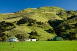 agricultural;agriculture;country;countryside;farm;farming;farmland;farms;field;fields;meadow;meadows;N.I.;N.Z.;New-Zealand;NI;North-Island;NZ;paddock;paddocks;pasture;pastures;rural;Tablelands;Wairarapa