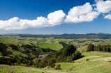 agricultural;agriculture;country;countryside;farm;farming;farmland;farms;field;fields;meadow;meadows;N.I.;N.Z.;New-Zealand;NI;North-Island;NZ;paddock;paddocks;pasture;pastures;rural;Wairarapa
