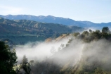 agricultural;agriculture;cloud;clouds;cloudy;country;countryside;farm;farming;farmland;farms;field;fields;fog;foggy;Kawhatau-Valley;meadow;meadows;mist;mists;misty;N.I.;N.Z.;New-Zealand;NI;North-Island;NZ;paddock;paddocks;pasture;pastures;Rangitikei;rural;valley;valleys