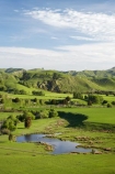 agricultural;agriculture;country;countryside;dam;dams;farm;farming;farmland;farms;field;fields;Fresh;green;grow;Growth;island;Lower-North-Island;lush;masterton;meadow;meadows;N.I.;N.Z.;near;new;new-zealand;NI;north;North-Is;north-is.;north-island;NZ;o8l0970;paddock;paddocks;pasture;pastures;pond;ponds;rural;season;seasonal;seasons;spring;springtime;Tauweru;wairarapa;zealand