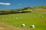 agricultural;agriculture;bale;bales;country;countryside;farm;farming;farmland;farms;field;fields;hay;hay-bale;hay-bales;hill;hills;Lower-North-Island;Martinborough;meadow;meadows;N.I.;N.Z.;New-Zealand;NI;North-Is;North-Island;NZ;paddock;paddocks;pasture;pastures;rural;Wairarapa