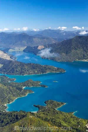 aerial;aerials;bay;bays;beautiful;beauty;bush;coast;coastal;coastline;coastlines;coasts;cove;coves;endemic;forest;forests;green;inlet;inlets;Kenepuru-Sound;marlborough;Marlborough-Sounds;native;native-bush;natives;natural;nature;new-zealand;nz;scene;scenic;sea;shore;shoreline;shorelines;shores;sound;sounds;south-island;Te-Mahia-Bay;tree;trees;water;woods
