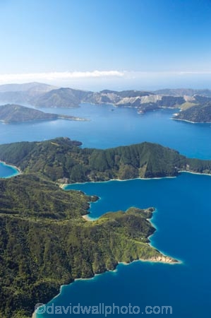 aerial;aerials;bay;bay-of-many-coves;bays;beautiful;beauty;bush;clay-point;coast;coastal;coastline;coastlines;coasts;Cockle-Cove;cove;coves;endemic;forest;forests;green;inlet;inlets;marlborough;Marlborough-Sounds;Milton-Bay;miritu-bay;native;native-bush;natives;natural;nature;new-zealand;nz;Pope-Bay;queen-charlotte-sound;scene;scenic;sea;shore;shoreline;shorelines;shores;sound;sounds;south-island;tree;trees;water;woods