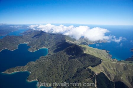 aerial;aerials;bay;bays;beautiful;beauty;bush;coast;coastal;coastline;coastlines;coasts;cove;coves;Croisilles-_-French-Pass-Road;endemic;fitzroy-bay;forest;forests;French-Pass-Road;green;inlet;inlets;marlborough;Marlborough-Sounds;native;native-bush;natives;natural;nature;new-zealand;nz;okuri-bay;scene;scenic;sea;shore;shoreline;shorelines;shores;sound;sounds;south-island;tree;trees;water;woods