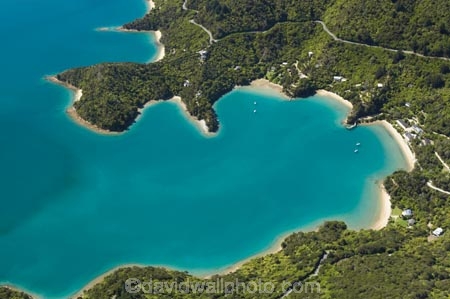 aerial;aerials;bay;bays;beautiful;beauty;bush;coast;coastal;coastline;coastlines;coasts;cove;coves;endemic;forest;forests;green;inlet;inlets;Kenepuru-Sound;marlborough;Marlborough-Sounds;native;native-bush;natives;natural;nature;new-zealand;nz;scene;scenic;sea;shore;shoreline;shorelines;shores;sound;sounds;south-island;te-mahia;Te-Mahia-Bay;tree;trees;water;woods