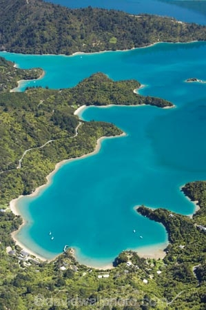 aerial;aerials;bay;bays;beautiful;beauty;bush;coast;coastal;coastline;coastlines;coasts;cove;coves;endemic;forest;forests;green;inlet;inlets;Kenepuru-Sound;marlborough;Marlborough-Sounds;native;native-bush;natives;natural;nature;new-zealand;nz;scene;scenic;sea;shore;shoreline;shorelines;shores;sound;sounds;south-island;te-mahia;Te-Mahia-Bay;tree;trees;water;woods