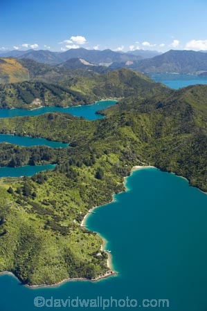 aerial;aerials;bay;bays;beautiful;beauty;bush;coast;coastal;coastline;coastlines;coasts;cove;coves;Double-Cove;endemic;forest;forests;green;inlet;inlets;Lochmara-Bay;marlborough;Marlborough-Sounds;native;native-bush;natives;natural;nature;new-zealand;nz;Queen-Charlotte-Sound;scene;scenic;sea;shore;shoreline;shorelines;shores;sound;sounds;south-island;Torea-Bay;tree;trees;water;woods