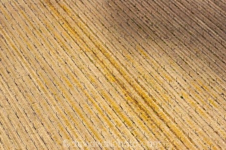 aerial;aerials;agricultural;agriculture;blenheim;country;countryside;crop;crops;cultivate;cultivation;farm;farming;farmland;farms;field;fields;grape;grapes;grapevine;horticulture;marlborough;n.z.;New-Zealand;nz;row;rows;rural;South-Island;vine;vines;vineyard;vineyards;vintage;wine;wineries;winery;wines