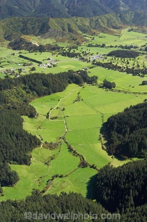aerial;aerials;agricultural;agriculture;blenheim-_-picton-road;country;countryside;crop;crops;exotic-forest;exotic-forestry;exotic-forests;farm;farming;farmland;farms;field;fields;forest;forestry;forests;horticulture;korimiko;marlborough;meadow;meadows;mount-pleasant;mt-pleasant;mt.-pleasant;n.z.;New-Zealand;nz;paddock;paddocks;pasture;pastures;pine-tree;pine-trees;rural;South-Island;timber;tree;trees;trunk;trunks;wood;woods