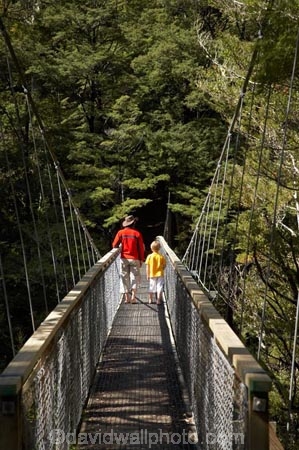 beautiful;beauty;Beech-Forest;boy;boys;bridge;bridges;bush;child;children;endemic;families;family;foot-bridge;foot-bridges;footbridge;footbridges;forest;forests;green;hiking-track;hiking-tracks;kid;kids;little-boy;little-boys;Marlborough;model-release;model-released;mother;mothers;N.Z.;native;native-bush;natives;natural;nature;New-Zealand;Nothofagus;NZ;pedestrian-bridge;pedestrian-bridges;Pelorus-Bridge;people;person;Rai-River;S.I.;scene;scenic;SI;small-boy;small-boys;son;South-Is.;South-Island;southern-beeches;suspension-bridge;suspension-bridges;swing-bridge;swing-bridges;track;tracks;tree;trees;walking-track;walking-tracks;wire-bridge;wire-bridges;wood;woods