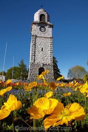 Blenheim;bloom;blooming;blooms;blossom;blossoming;blossoms;clock-tower;floral;flower;flower-beds;flower-garden;flower-gardens;flowers;fresh;grow;growth;heritage;historic;historic-place;historic-places;historic-site;historic-sites;historical;historical-place;historical-places;historical-site;historical-sites;history;Marlborough;memorial-clock-tower;N.Z.;New-Zealand;NZ;old;park;parks;renew;S.I.;season;seasonal;seasons;Seymore-Sq;Seymore-Square;Seymour-Square;SI;South-Is;South-Is.;South-Island;spring;spring-time;spring_time;springtime;Sth-Is;tradition;traditional;war-memorial-clock-tower;yellow