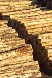 bulk;export;exports;forest;forestry;forests;industrial;industry;log;Log-Stacks;logging;logs;lumber;Marlborough;Marlborough-Sounds;New-Zealand;Picton;pine;pine-tree;pine-trees;pinus-radiata;row;rows;South-Island;stockpile;stockpiles;timber;tree;tree-trunk;tree-trunks;trees;wharf;wharfs;wharves;wood