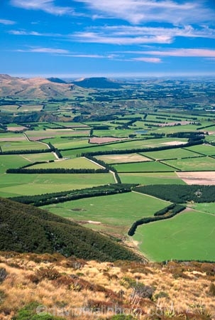 agriculture;crop;crops;farm;farming;farmland;farms;fence;fenceline;fences;field;fields;flat;flats;grass;green;hedgerow;hedgerows;lamb;lambs;meadow;meadows;paddock;paddocks;pasture;pastures;plains;rural;sheep;spring