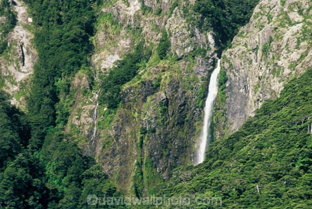 bluff;bluffs;bush;cliff;cliffs;forest;forestry;forests;mountain;mountains;native;natural;nature;water-fall;water-falls;waterfall;waterfalls
