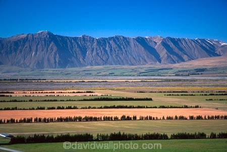 agriculture;crop;crops;farm;farming;farmland;farms;fence;fenceline;fences;field;fields;flat;flats;grass;green;hedgerow;hedgerows;lamb;lambs;meadow;meadows;mountain;mountains;paddock;paddocks;pasture;pastures;plains;range;rural;sheep;spring;wind-break;windbreak;windbreaks