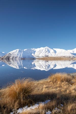 calm;Canterbury;Canterbury-Foothills;cold;Hakatere-Conservation-Park;lake;Lake-Heron;lakes;Mid-Canterbury;Mount-Catherine;Mount-Sugarloaf;Mt-Catherine;Mt-Sugarloaf;Mt.-Catherine;Mt.-Sugarloaf;N.Z.;New-Zealand;NZ;placid;quiet;reflection;reflections;S.I.;season;seasonal;seasons;serene;SI;smooth;snow;snowy;South-Is;South-Island;still;tranquil;tussock;tussocks;water;white;winter;wintery