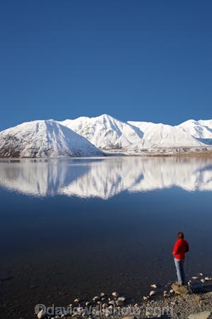 alone;calm;Canterbury;Canterbury-Foothills;cold;Hakatere-Conservation-Park;hike;hiker;hikers;hiking;lake;Lake-Heron;lakes;Mid-Canterbury;Mount-Catherine;Mount-Sugarloaf;Mt-Catherine;Mt-Sugarloaf;Mt.-Catherine;Mt.-Sugarloaf;N.Z.;New-Zealand;NZ;people;person;placid;quiet;reflection;reflections;S.I.;season;seasonal;seasons;serene;SI;single;smooth;snow;snowy;solo;South-Is;South-Island;still;tranquil;walk;walker;walkers;walking;water;white;winter;wintery;woman
