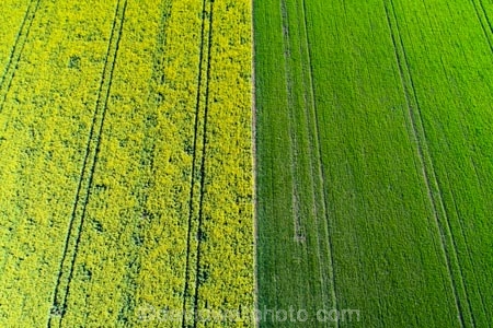 aerial;Aerial-drone;Aerial-drones;aerial-image;aerial-images;aerial-photo;aerial-photograph;aerial-photographs;aerial-photography;aerial-photos;aerial-view;aerial-views;aerials;agricultural;agriculture;canolla;canolla-field;canolla-fields;Canterbury;country;countryside;crop;crops;Drone;Drones;farm;farming;farmland;farms;field;fields;flower;flowers;horticulture;meadow;meadows;Methven;Mid-Canterbury;N.Z.;New-Zealand;NZ;paddock;paddocks;pasture;pastures;pattern;patterns;Quadcopter-aerial;Quadcopters-aerials;rapeseed;rapeseed-field;rural;S.I.;season;seasonal;seasons;SI;South-Is;South-Island;spring;spring-time;spring_time;springtime;Sth-Is;tire-tracks;tractor-tracks;tyre-tracks;U.A.V.-aerial;UAV-aerials;wheel-tracks;yellow;yellow-flower;yellow-flowers