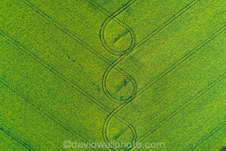 aerial;Aerial-drone;Aerial-drones;aerial-image;aerial-images;aerial-photo;aerial-photograph;aerial-photographs;aerial-photography;aerial-photos;aerial-view;aerial-views;aerials;agricultural;agriculture;canolla;canolla-field;canolla-fields;Canterbury;country;countryside;crop;crops;Drone;Drones;farm;farming;farmland;farms;field;fields;flower;flowers;horticulture;meadow;meadows;Methven;Mid-Canterbury;N.Z.;New-Zealand;NZ;paddock;paddocks;pasture;pastures;pattern;patterns;Quadcopter-aerial;Quadcopters-aerials;rapeseed;rapeseed-field;rural;S.I.;season;seasonal;seasons;SI;South-Is;South-Island;spring;spring-time;spring_time;springtime;Sth-Is;tire-tracks;tractor-tracks;tyre-tracks;U.A.V.-aerial;UAV-aerials;wheel-tracks;yellow;yellow-flower;yellow-flowers