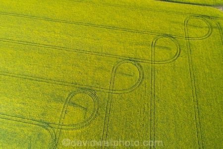 aerial;Aerial-drone;Aerial-drones;aerial-image;aerial-images;aerial-photo;aerial-photograph;aerial-photographs;aerial-photography;aerial-photos;aerial-view;aerial-views;aerials;agricultural;agriculture;canolla;canolla-field;canolla-fields;Canterbury;country;countryside;crop;crops;Drone;Drones;farm;farming;farmland;farms;field;fields;flower;flowers;horticulture;meadow;meadows;Methven;Mid-Canterbury;N.Z.;New-Zealand;NZ;paddock;paddocks;pasture;pastures;pattern;patterns;Quadcopter-aerial;Quadcopters-aerials;rapeseed;rapeseed-field;rural;S.I.;season;seasonal;seasons;SI;South-Is;South-Island;spring;spring-time;spring_time;springtime;Sth-Is;tire-tracks;tractor-tracks;tyre-tracks;U.A.V.-aerial;UAV-aerials;wheel-tracks;yellow;yellow-flower;yellow-flowers