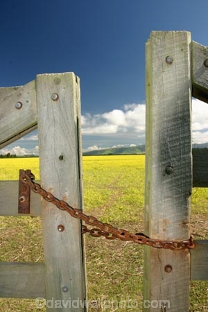 agricultural;agriculture;Canola;canterbury;chain;chained;chains;close;closed;cloud;clouds;color;colors;colour;colours;country;countryside;crop;cropping;crops;cultivate;cultivation;farm;farming;farmland;farms;fence;fences;field;fields;flower;flowers;gate;gate_way;gate_ways;gates;gateway;gateways;horticultural;horticulture;latch;lock;meadow;meadows;new-zealand;paddock;paddocks;pasture;pastures;rape-seed;rural;shut;sky;south-canterbury;south-island;yellow