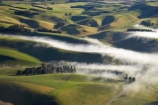 aerial;aerial-photo;aerial-photograph;aerial-photographs;aerial-photography;aerial-photos;aerial-view;aerial-views;aerials;agricultural;agriculture;Canterbury;cloud;clouds;cloudy;country;countryside;farm;farming;farmland;farms;field;fields;fog;foggy;fogs;meadow;meadows;mist;mists;misty;Misty-Farmland;N.Z.;New-Zealand;NZ;paddock;paddocks;pasture;pastures;rural;S.I.;SI;South-Canterbury;South-Is;South-Island;Taiko-Flat