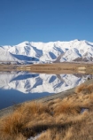 calm;Canterbury;Canterbury-Foothills;cold;Hakatere-Conservation-Park;lake;Lake-Heron;lakes;Mid-Canterbury;N.Z.;New-Zealand;NZ;placid;quiet;reflection;reflections;S.I.;season;seasonal;seasons;serene;SI;smooth;snow;snowy;South-Is;South-Island;still;Taylor-Range;tranquil;tussock;tussocks;water;white;winter;wintery
