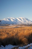 Canterbury;cold;Mid-Canterbury;Mount-Guy;Mt-Guy;Mt.-Guy;N.Z.;New-Zealand;NZ;S.I.;season;seasonal;seasons;SI;snow;snowy;South-Is;South-Island;tussock;tussocks;white;winter;wintery