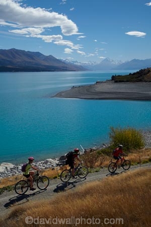 A2O;alp;alpine;alps;Alps-2-Ocean-cycle-trail;Alps-to-ocean-cycle-trail;altitude;Aoraki;Aoraki-Mt-Cook;Aoraki-Mt-Cook-N.P.;Aoraki-Mt-Cook-National-Park;Aoraki-Mt-Cook-NP;Aoraki-Mount-Cook;Aoraki-Mt-Cook;Aoraki-Mt-Cook-N.P.;Aoraki-Mt-Cook-National-Park;Aoraki-Mt-Cook-NP;bicycle;bicycles;bike;bike-track;bike-tracks;bike-trail;bike-trails;bikes;Canterbury;cycle;cycle-track;cycle-tracks;cycle-trail;cycle-trails;cycler;cyclers;cycles;cycleway;cycleways;cyclist;cyclists;excercise;excercising;high-altitude;lake;lake-pukaki;lakes;lenticular-cloud;lenticular-clouds;Mackenzie-Country;Mackenzie-District;main-divide;mount;mount-cook;mountain;mountain-bike;mountain-biker;mountain-bikers;mountain-bikes;mountain-peak;mountainous;mountains;mountainside;mt;mt-cook;Mt-Cook-N.P.;Mt-Cook-National-Park;Mt-Cook-NP;mt.;Mt.-Cook;mtn-bike;mtn-biker;mtn-bikers;mtn-bikes;n.z.;New-Zealand;NZ;outdoor;outdoors;peak;peaks;people;person;placid;pukaki;push-bike;push-bikes;push_bike;push_bikes;pushbike;pushbikes;range;ranges;S.I.;SI;snow;snow-capped;snow_capped;snowcapped;snowy;South-Canterbury;South-Is;South-Is.;South-Island;southern-alps;Sth-Is;summit;summits;tranquil;turquoise;water